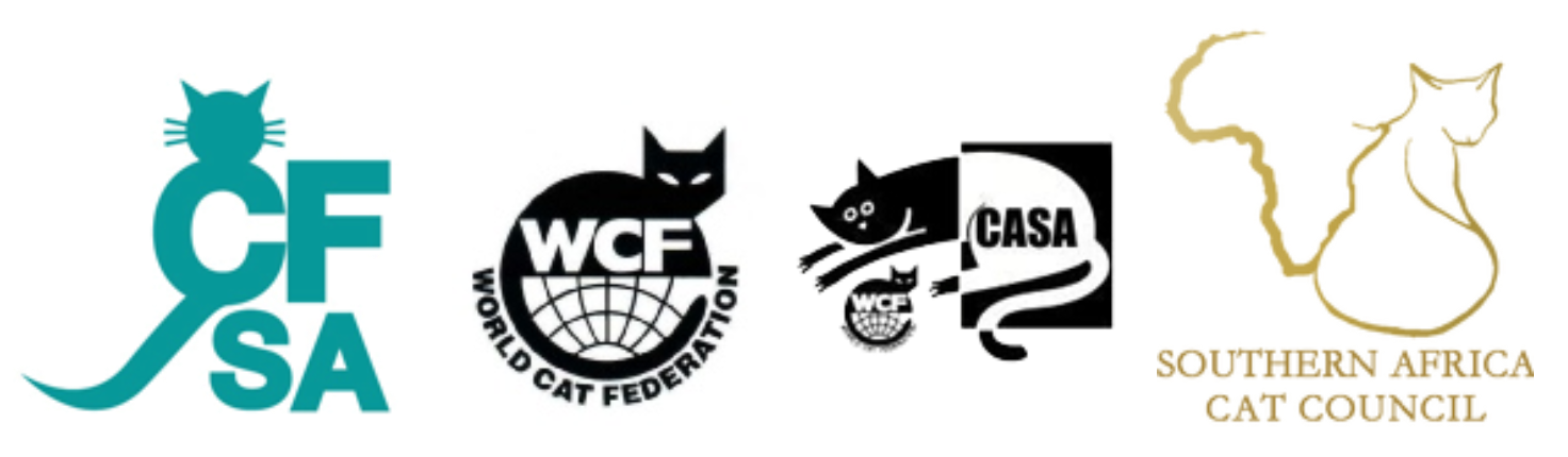 Screenshot 2020-04-13 at 13.21.01