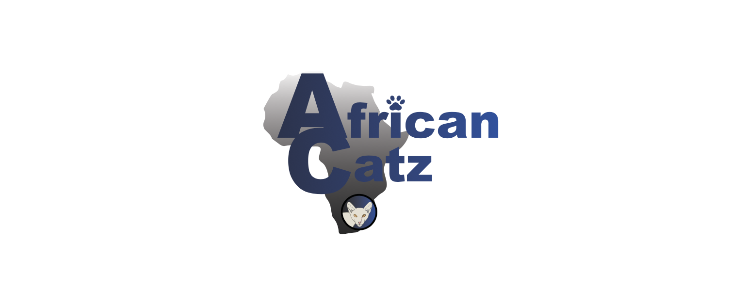 Screenshot 2020-04-13 at 14.13.38