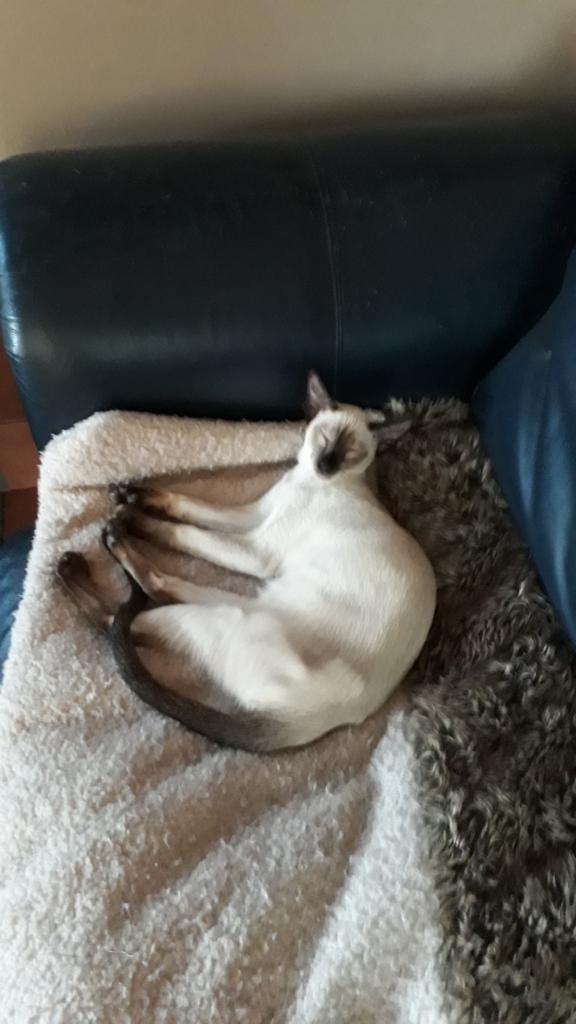 WhatsApp Image 2020-04-13 at 15.02.46