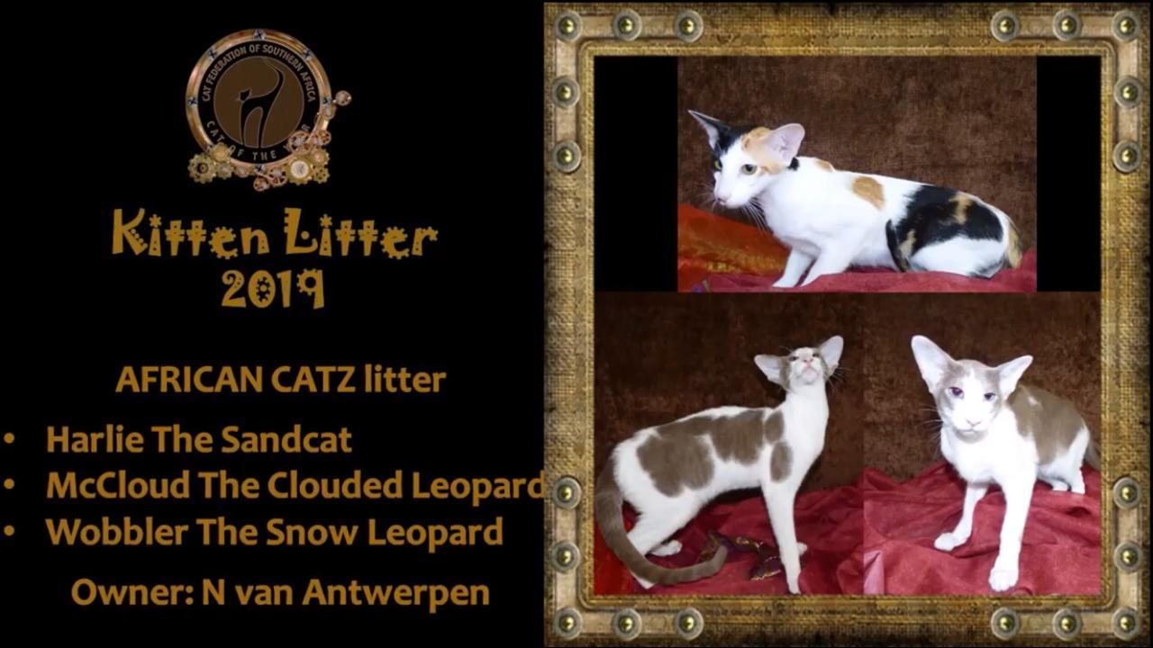 WhatsApp Image 2020-04-13 at 15.27.32